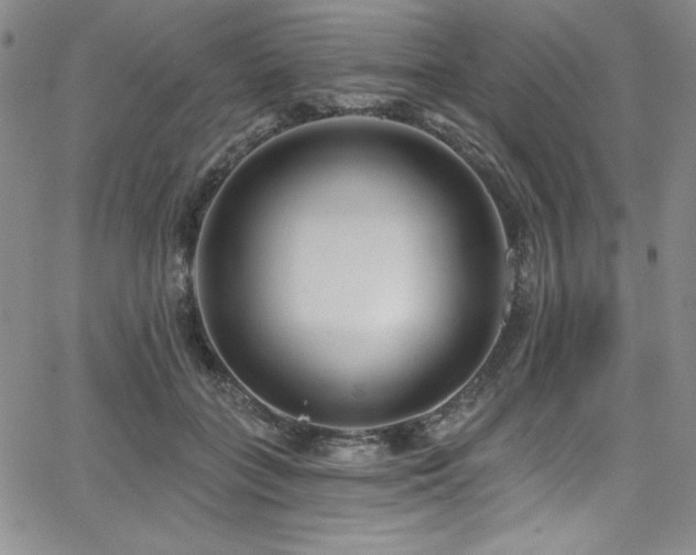 X0000068270555200604211113