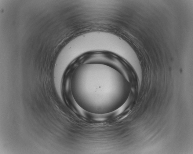 X0000068270556200604211113