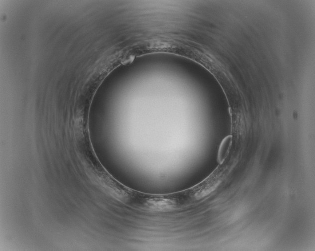 X0000068270557200604211113