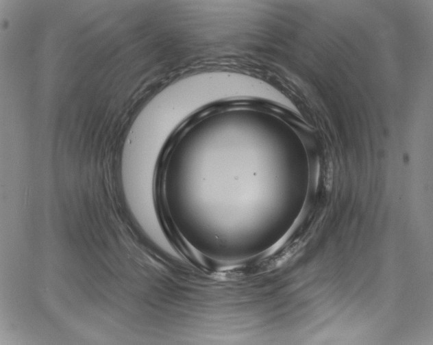 X0000068270558200604211113