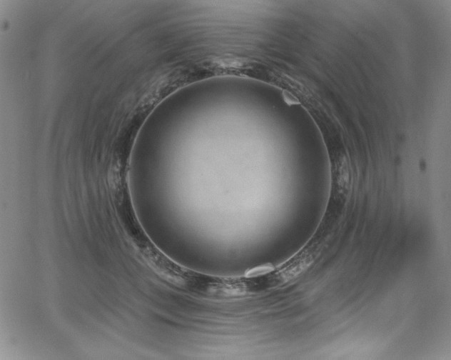 X0000068270559200604211113