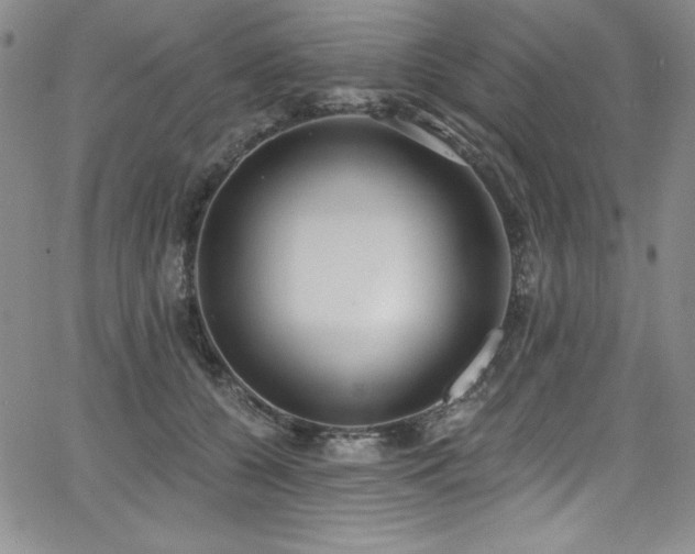 X0000068270560200604211113