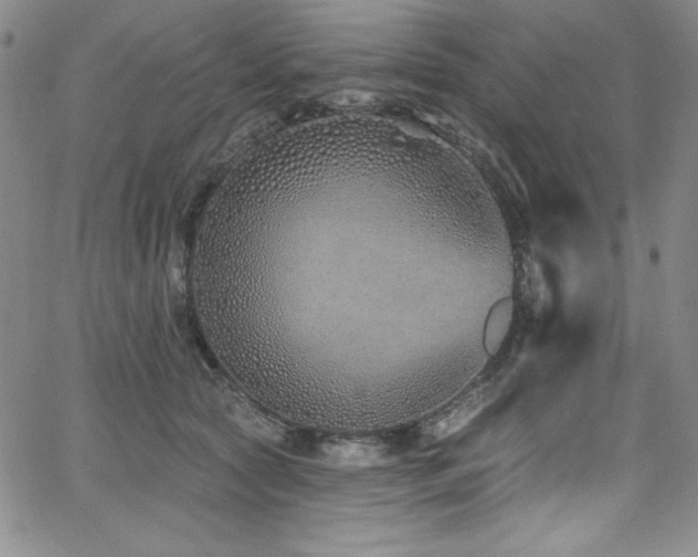 X0000068270561200604211113