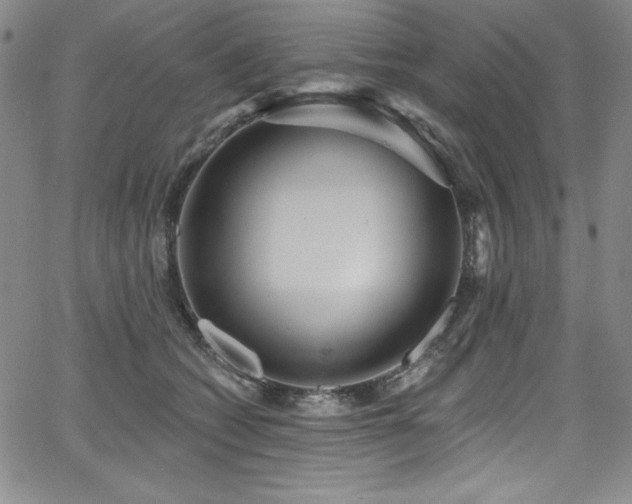 X0000068270562200604211113