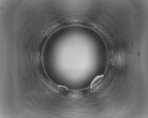 X0000068270563200604211113