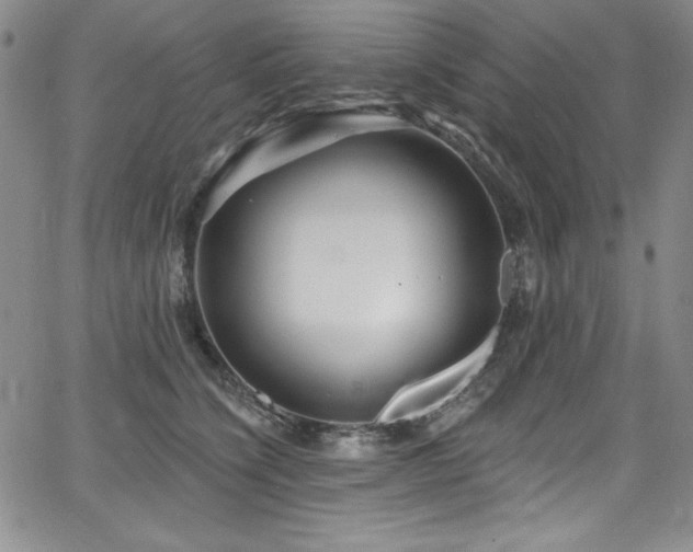 X0000068270564200604211113