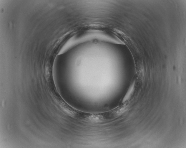 X0000068270566200604211113