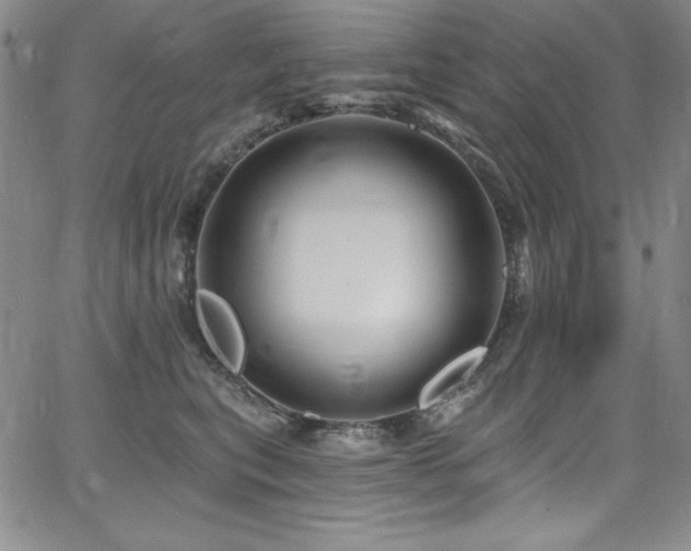 X0000068270567200604211113