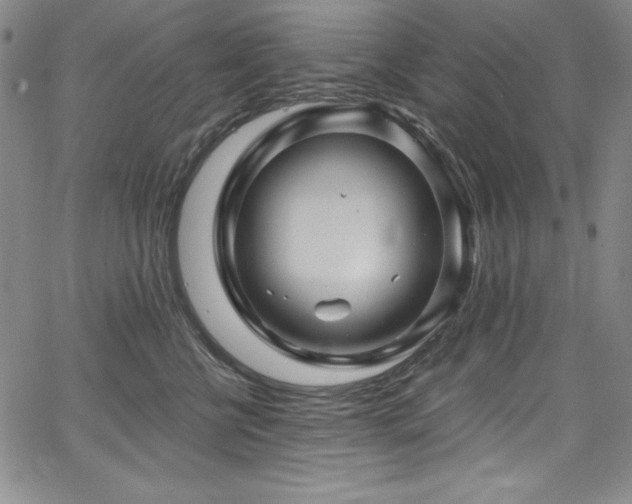 X0000068270570200604211113