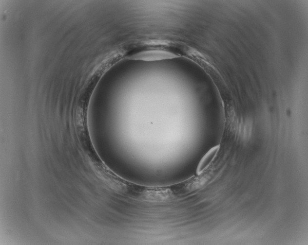 X0000068270571200604211113