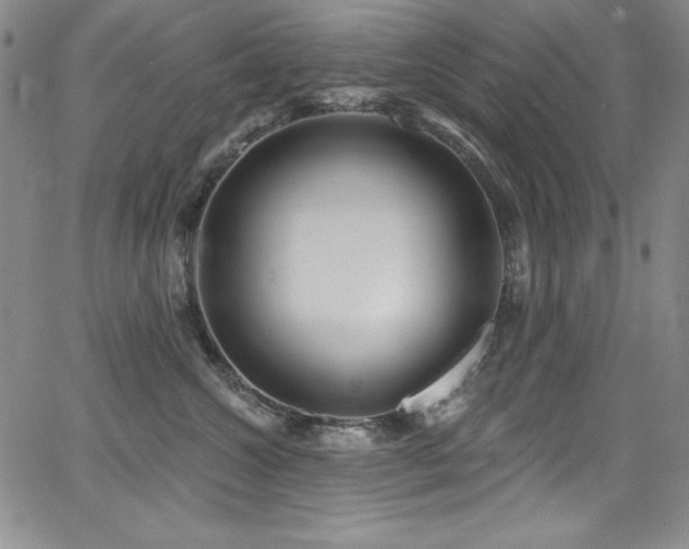 X0000068270572200604211113