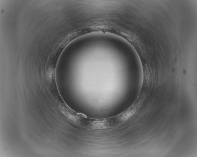 X0000068270574200604211113