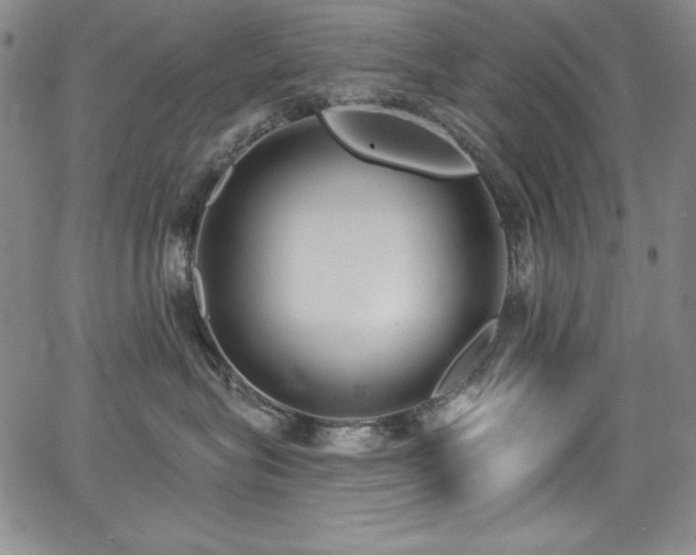 X0000068270575200604211113