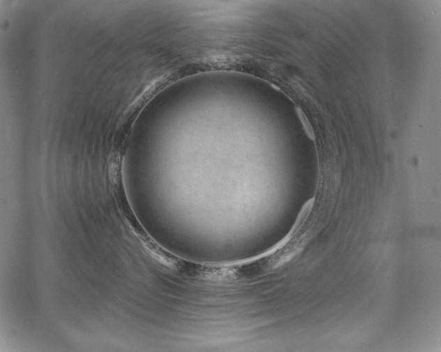 X0000068270576200604211113