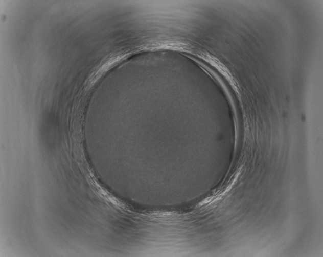 X0000068270577200604211112