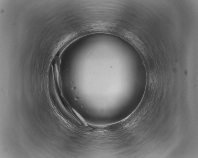 X0000068270578200604211112