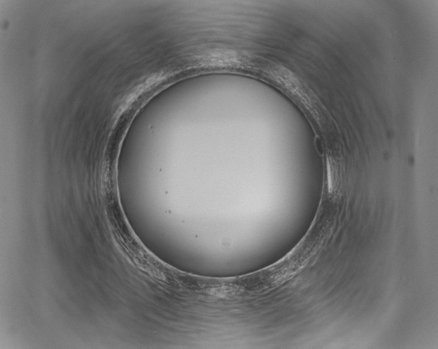 X0000068270579200604211112