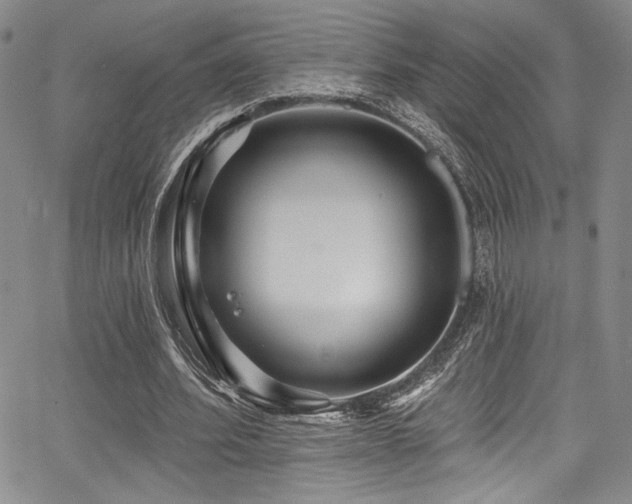 X0000068270580200604211112