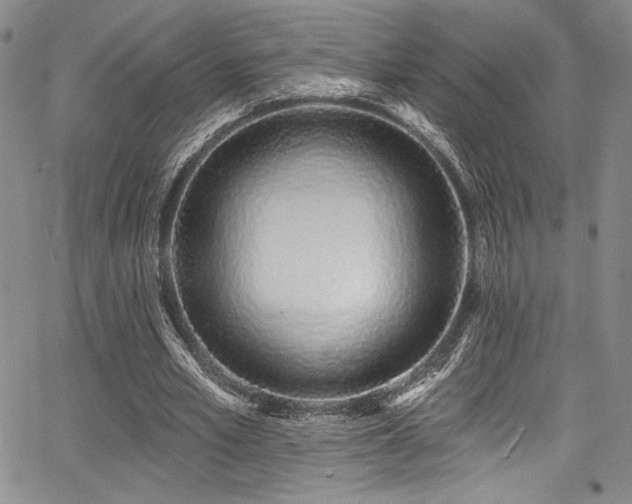 X0000068270581200604211112