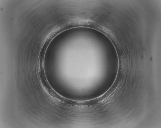 X0000068270582200604211112