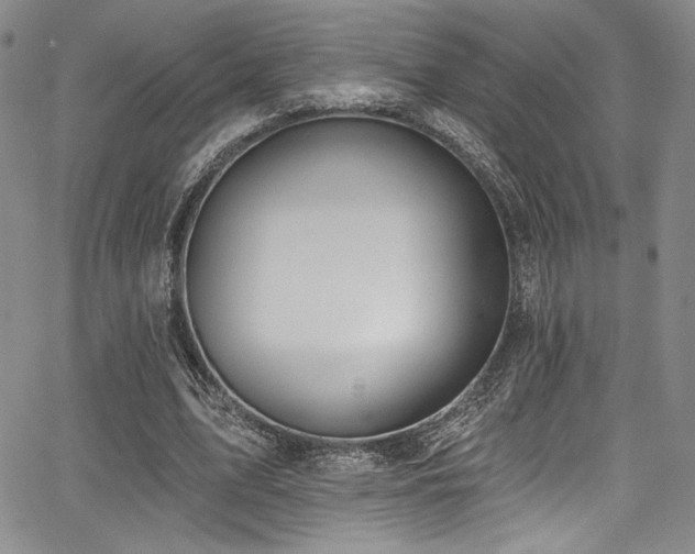 X0000068270583200604211112