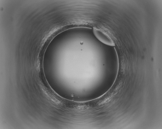 X0000068270584200604211112