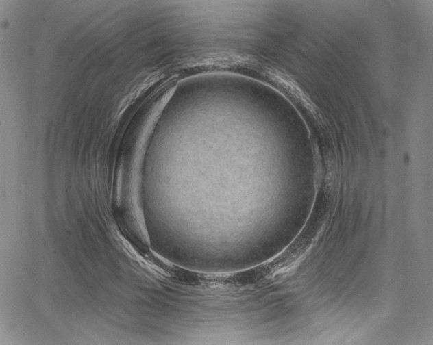 X0000068270585200604211112