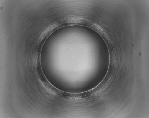 X0000068270586200604211112