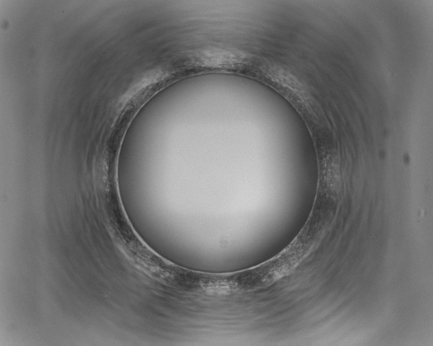 X0000068270587200604211112