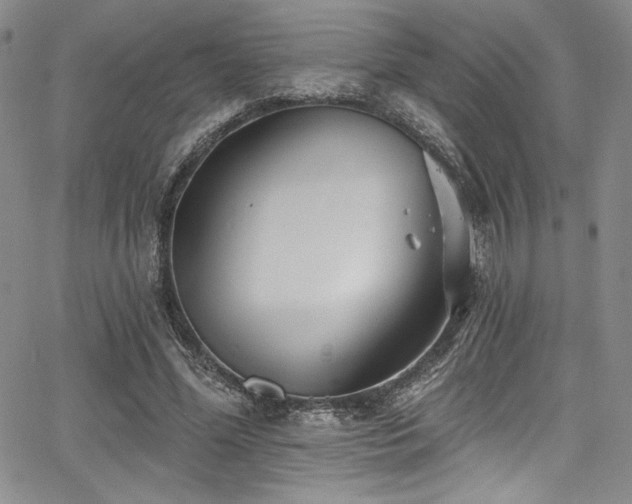 X0000068270588200604211112