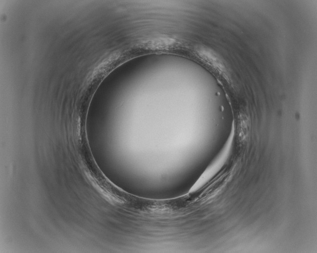 X0000068270589200604211112