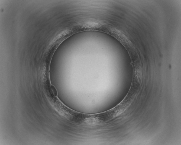 X0000068270591200604211112