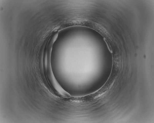 X0000068270593200604211112