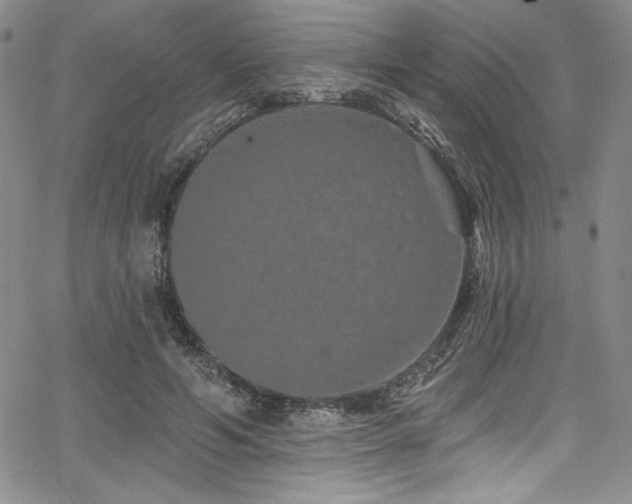 X0000068270594200604211112