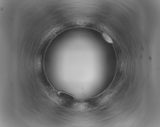 X0000068270595200604211112