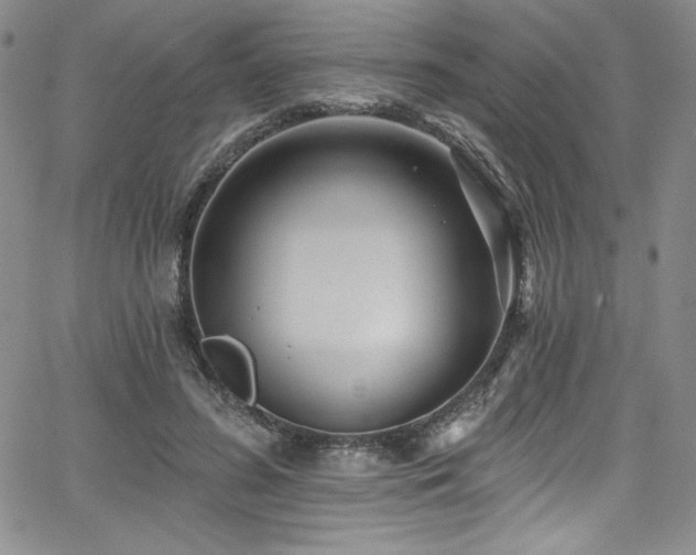 X0000068270596200604211112