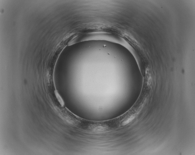 X0000068270597200604211112