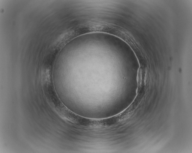 X0000068270598200604211112