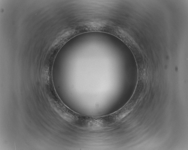 X0000068270599200604211112