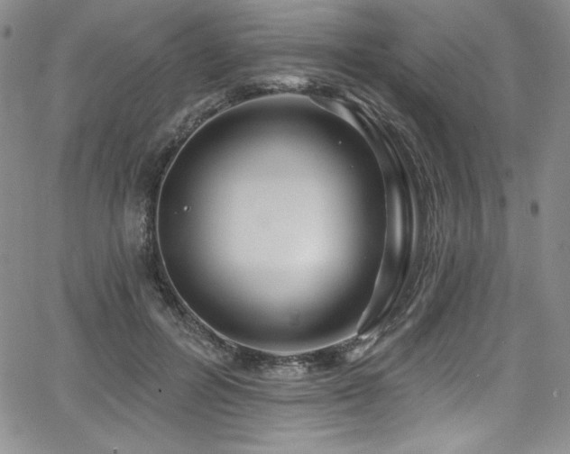 X0000068270600200604211112