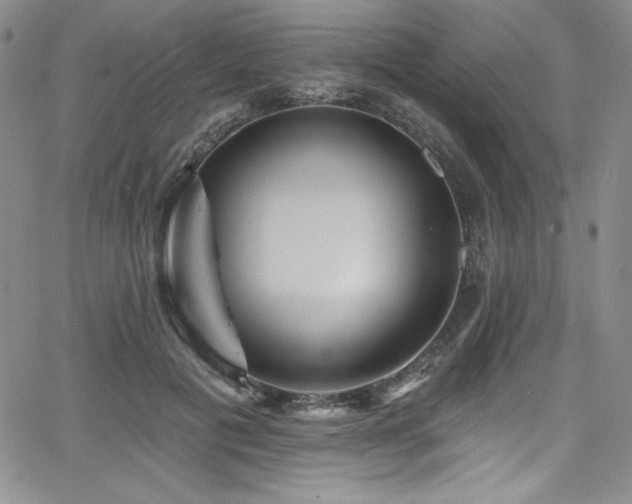 X0000068270601200604211112