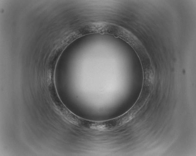 X0000068270602200604211112