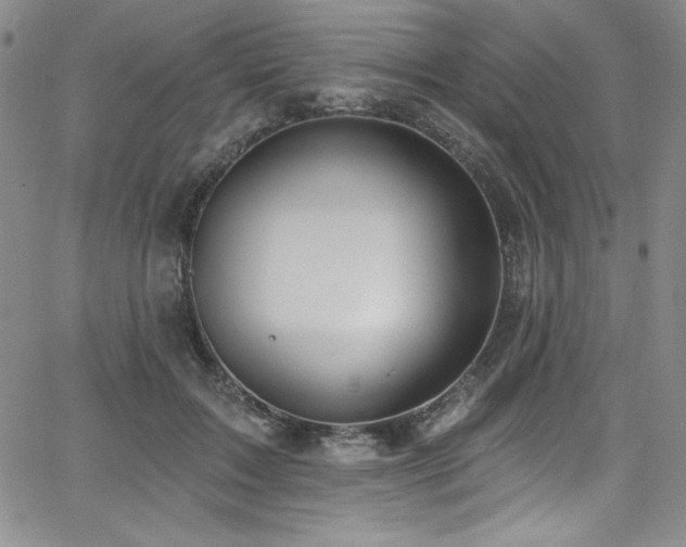 X0000068270603200604211112