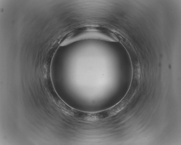 X0000068270604200604211112