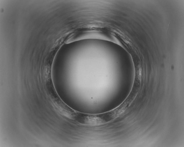 X0000068270605200604211112