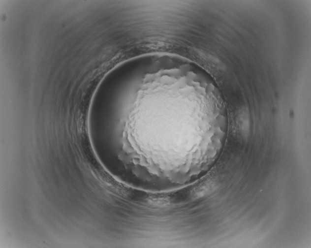 X0000068270606200604211112