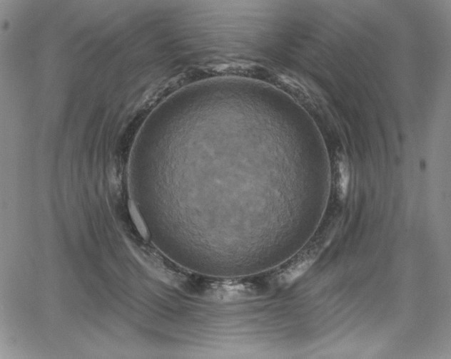 X0000068270607200604211112