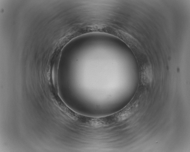 X0000068270608200604211112