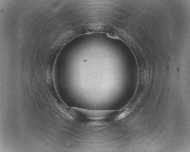 X0000068270609200604211112