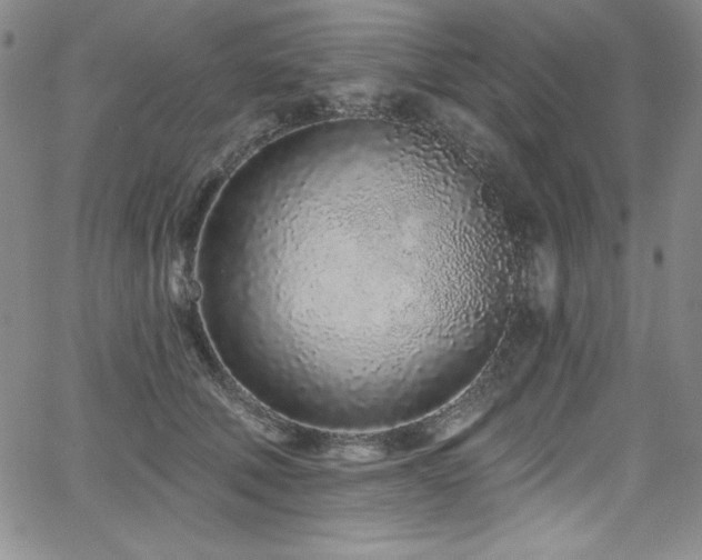 X0000068270610200604211112